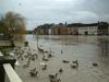 Flooding UK 5